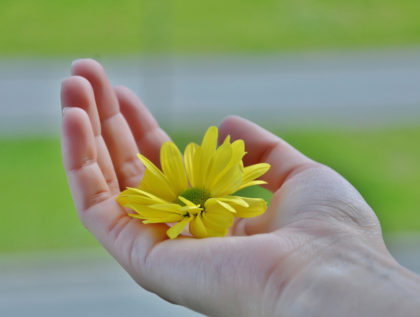 איך נולדה השיטה?